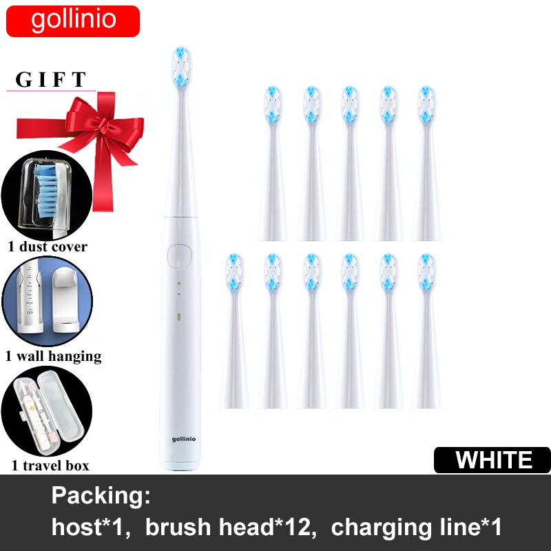 gollinio Electric Toothbrush usb fast charging GL56E smart electr toothbrush prodent Rechargeable Replacement Head: GL56WHITE12H-HB
