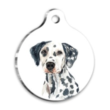 Bracelet rond dalmatien pour chien, aquarelle
