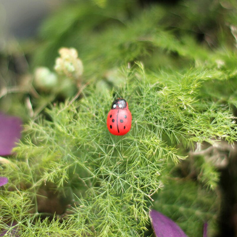 10Pcs Mini Ladybird Red Beetle Ladybug Fairy Doll House Garden Decor Ornament P31E