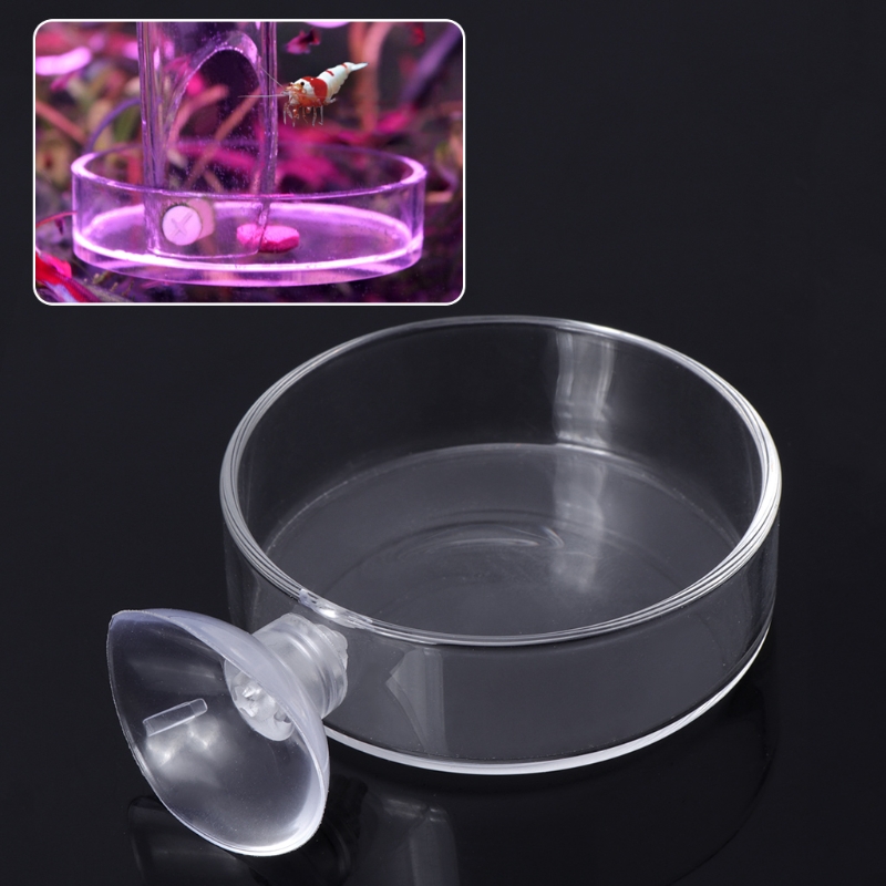 Plato alimentador de cristal transparente de gambas para comer, bandeja de comida, contenedor redondo, cuencos de alimentación para pecera de acuario