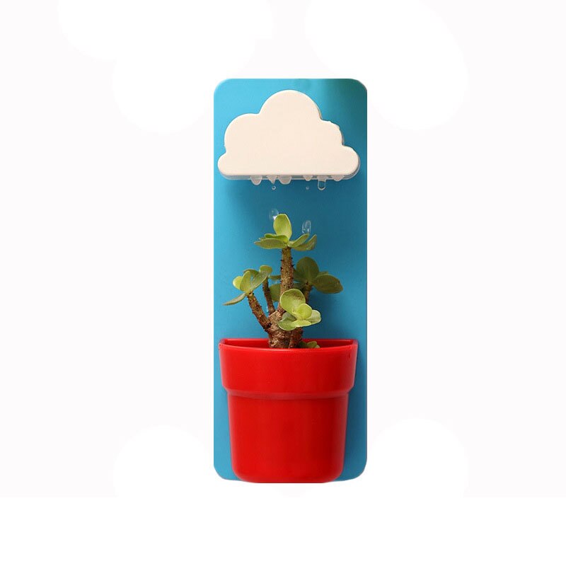 Modern Home Wall Hanging Flower Pot Round Shape Hydroponics Chlorophytum Plant Potted Garden wall-mounted Flower Pots