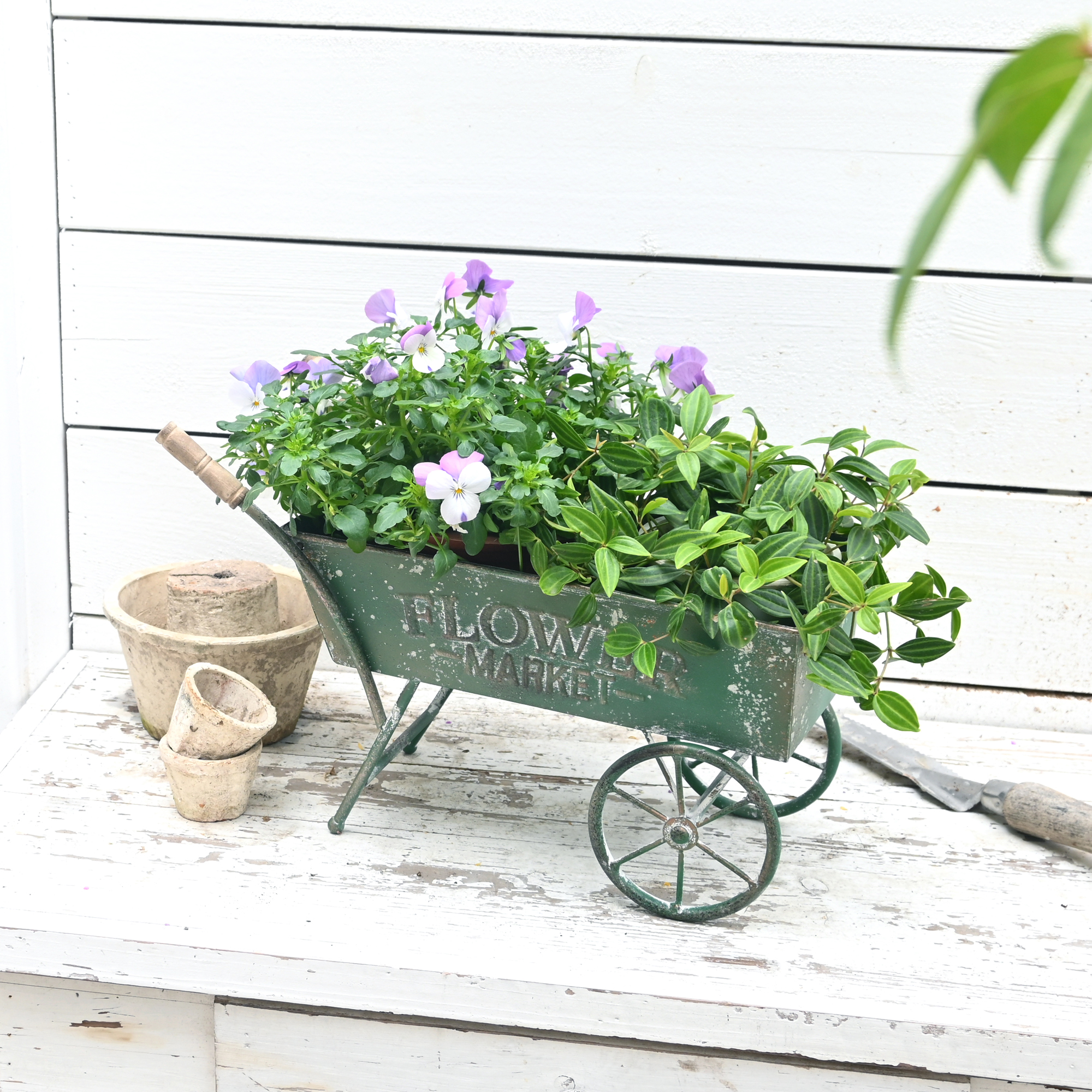 Illustration Vectorielle Du Pot De Fleurs Pour Les Plantes De Maison