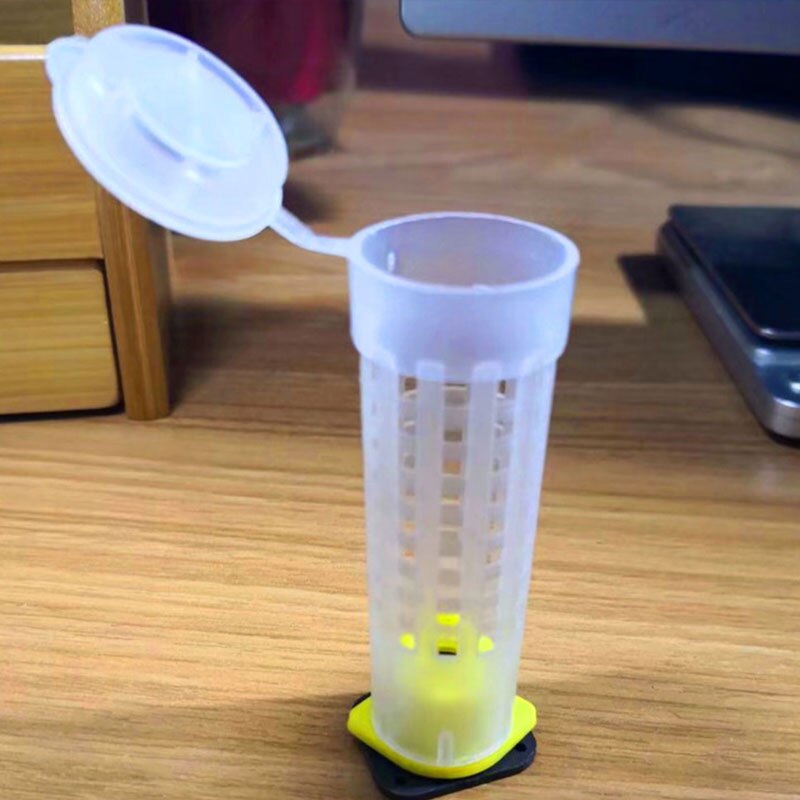 10 Gabbie Per Api Regina In Plastica, Regolabili Ed Estensibili, Per Apicoltura – Cattura E Sospensione Facile Tra I Telai, 50x30x19 Mm