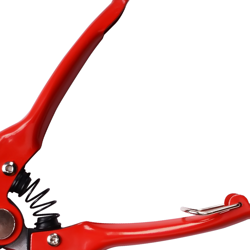 Branch Shears Orchard and Garden Prunner Bonsai Flower Prunning Scissors Carbon Steel Plant Nippers Hand Tools Home Use Cutter