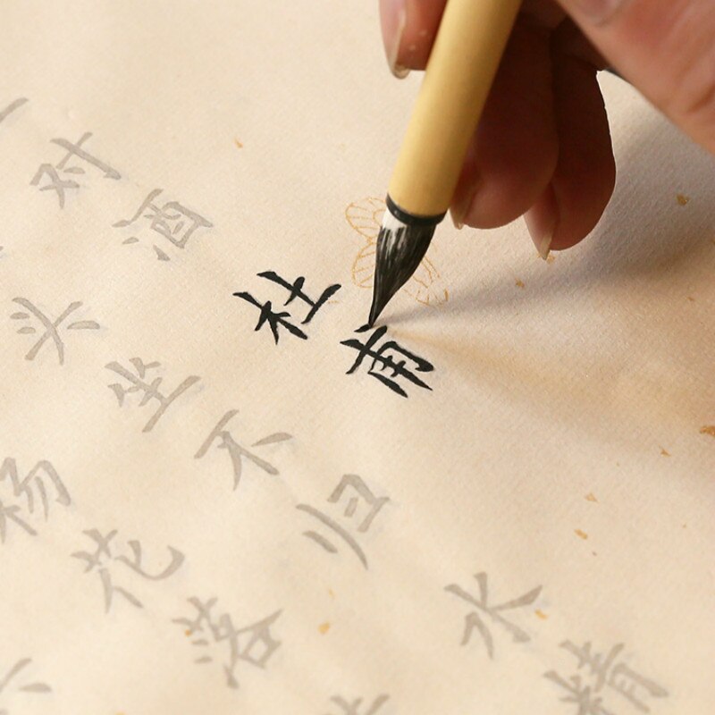 100 Pcs Kalligrafie Copybooks Calligraphie Xuan Papier Gedicht Schrift Beginner Chinese Kleine Reguliere Script Running Script Schrift