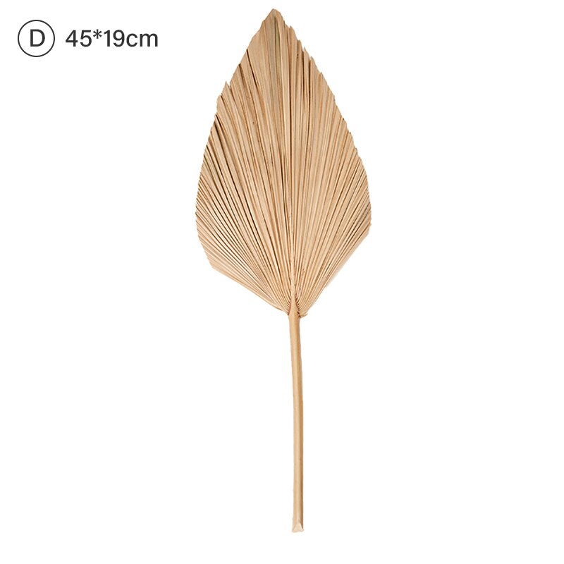 Palm Fan Leaf Dried Flower Palm Leaf Window Reception Party Art Wall Hanging Decoration Wedding Arch Arrangement: D
