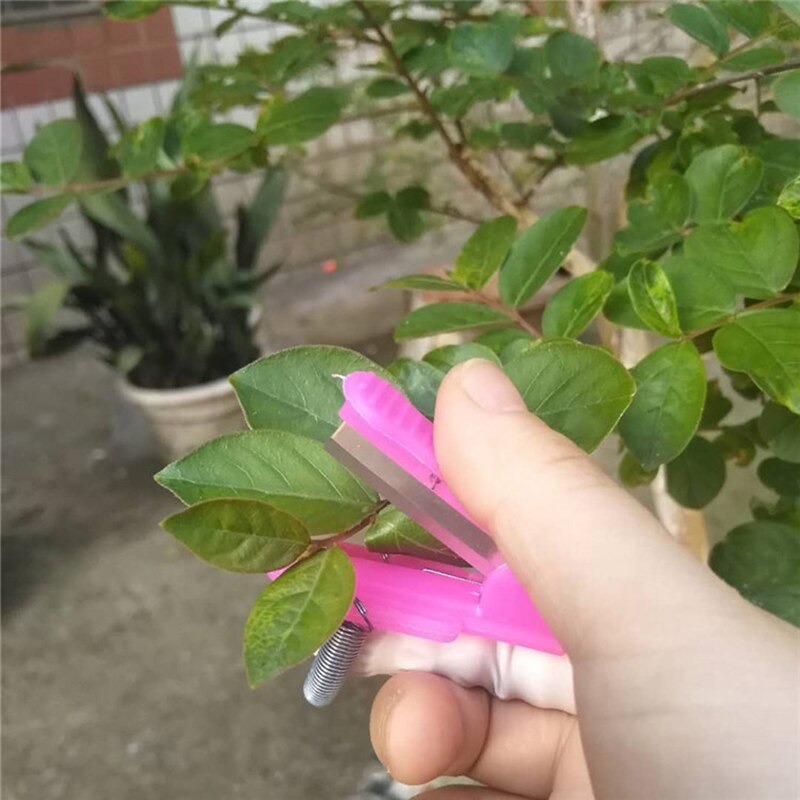 Vicia Vane Picker Vegetable Picker Melon And Fruit Picker Ring Picker Grape Sharpener Leaf-removing Small Blade
