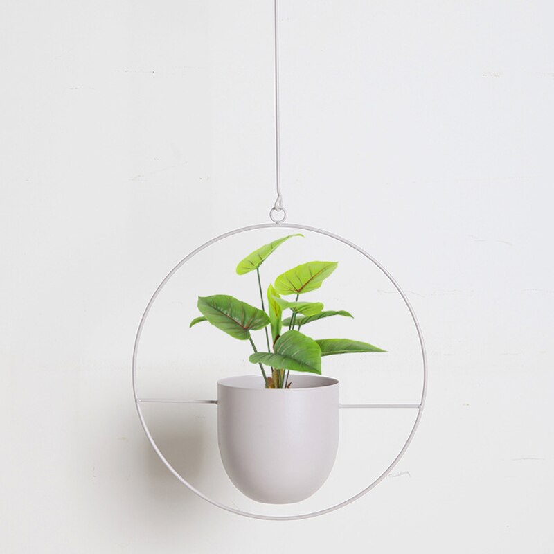 Macetas colgantes de hierro para colgar Flores, cesta de macetas de montaje oscilante en la pared, cadena de maceta decorativa para decoración del hogar y balcón: F