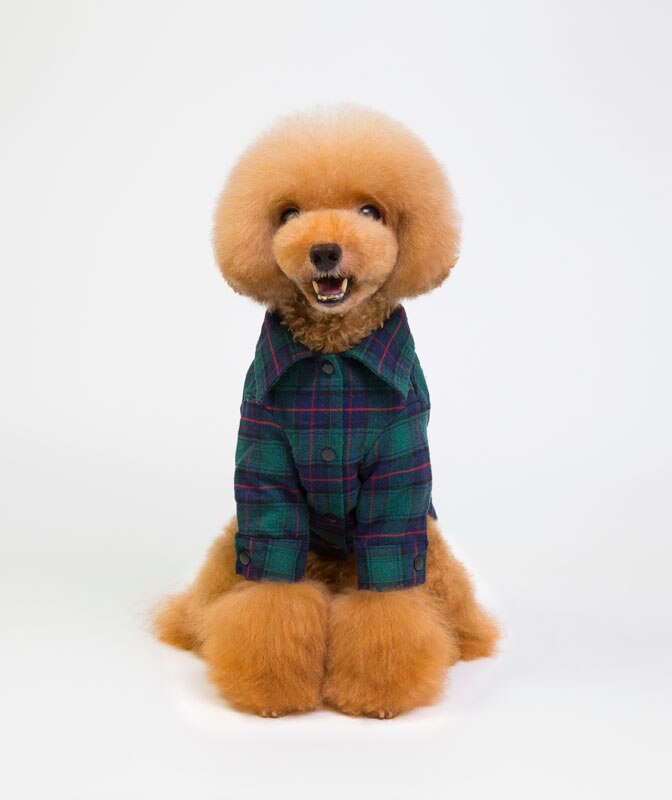 Sommer hundetøj til små hunde bomuldshunde-t-shirt vest koreansk gingham grøn rød