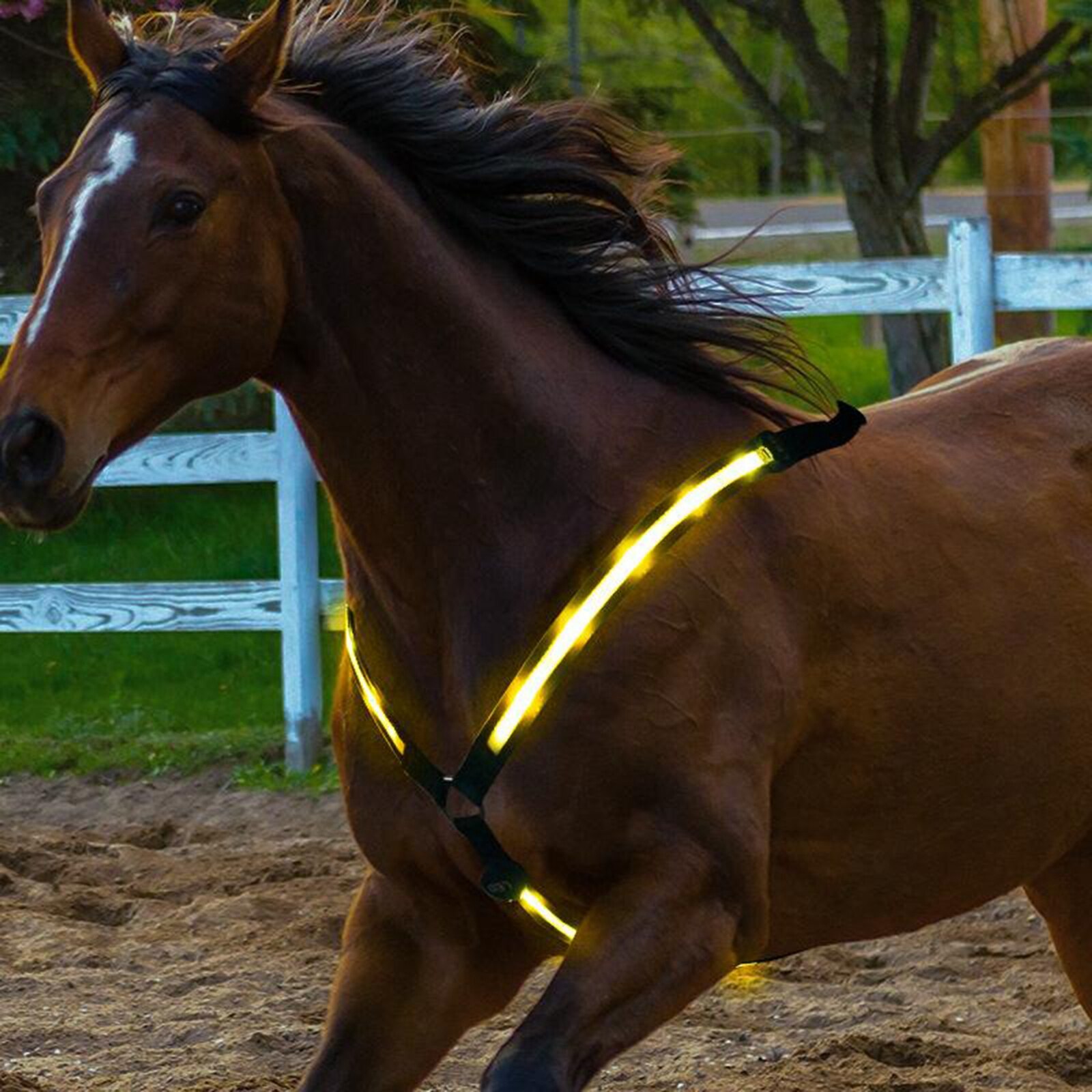 Reflecterende Paard Harnas Borstplaat Borst Kraag Lichten Led Night Zichtbaar Veiligheid Led Stap Maakt Uw Paard Zichtbaar En Gezien