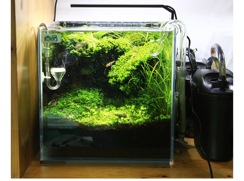 Anlage wachsen LED licht Chihiros C serie ADA stil Mini nano Clip Aquarium wasser pflanze Aquarium neue angekommen!