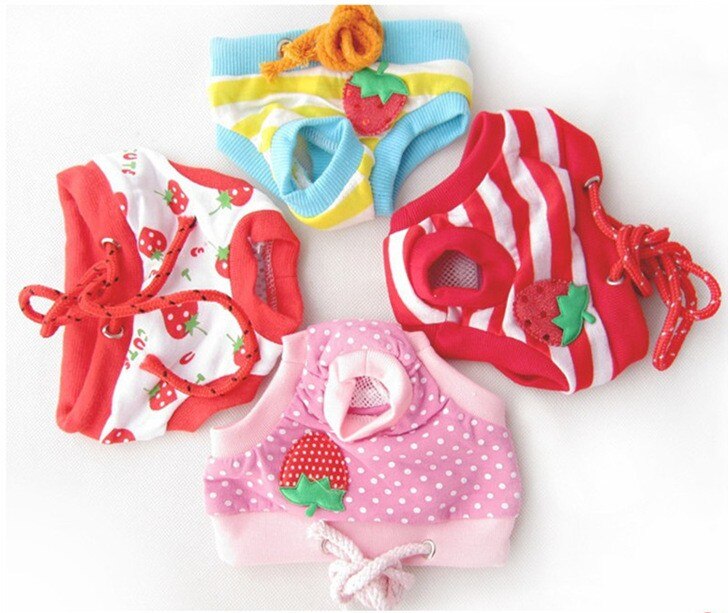 Short de chien Teddy bon marché | Pantalon physiologique, petit chien de compagnie, sous-vêtements féminins, culottes physiologiques, tissu