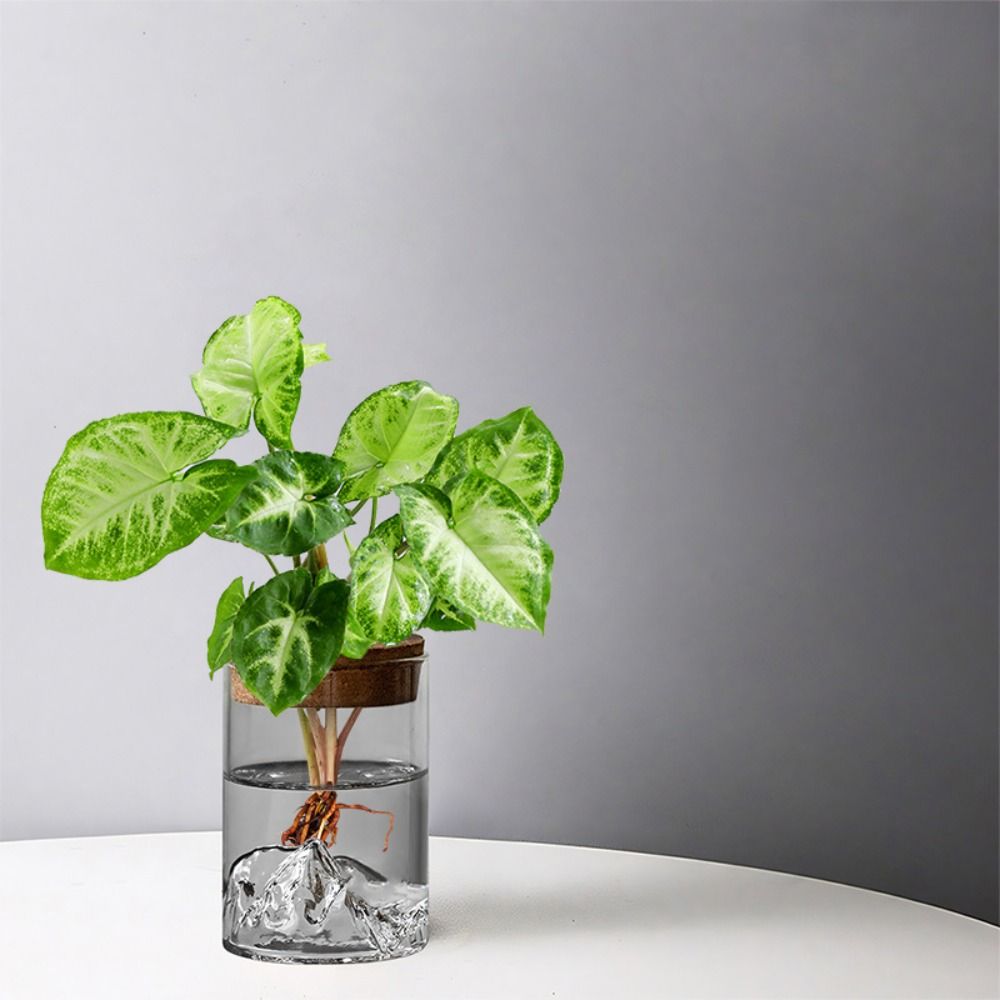 Plants Holder Glass Flower Vase Thickened Transparent Flower Pot Mini Mountain Viewing Bottle