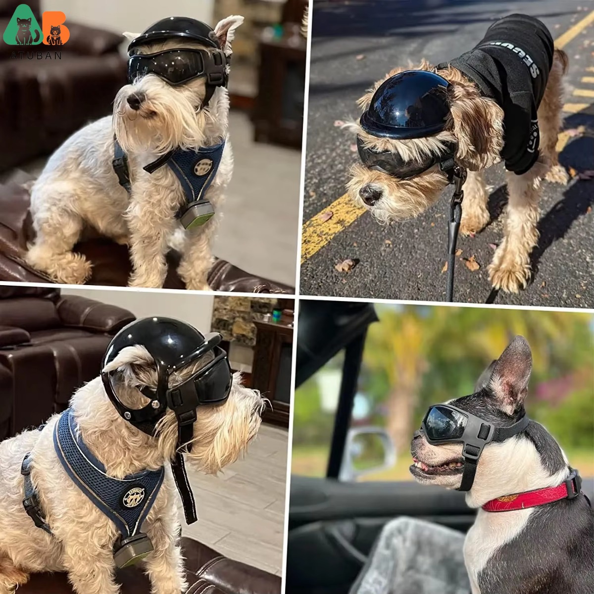 ATUBAN Lunettes pour chiens de petite taille avec casque, 2 lunettes de soleil pour chiens et ensemble de casques pour chiens de petite et moyenne taille pour la conduite en plein air et la marche