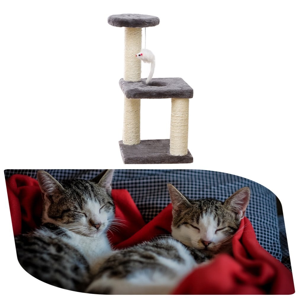 Koci plac zabaw trójwarstwowa trzypunktowa płyta robić ścierania pazurów kwadratowa płyta zabawka dla kota skacząca zabawka szkoleniowa płyta robić drapania dla kota