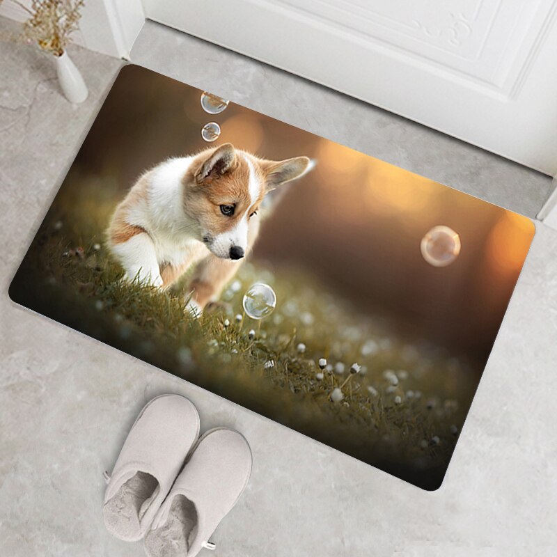 Tapis de bain à motif Corgi, accessoire de salle de bains, cuisine, salle de bains, antidérapant, moderne, lavable, paillasson d&#39;entrée de maison, moins cher