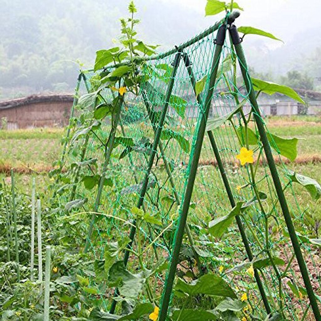 Trellis Net Vine and Veggie Plant Flower Support Reusable Garden Mesh Protection