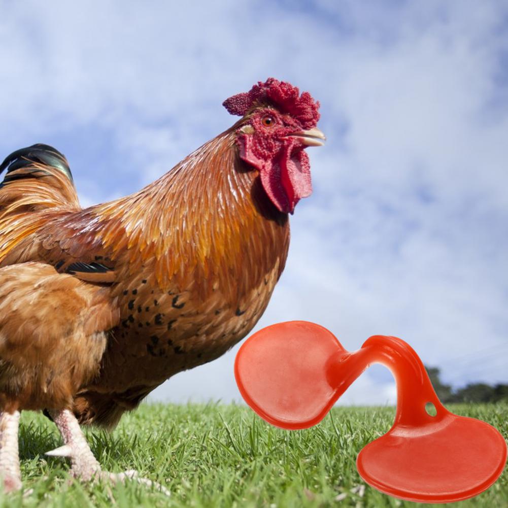 1 Set Great All-Purpose Poultry Blinders Chicken Glasses Set Plastic Chicken Glasses for Farm
