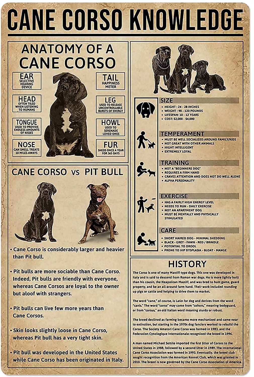 Dog Anatomy Metal Tin Sign Australian Cattle Dog Knowledge Poster Farm School Education Club Garage Wall Decor Plaque 8x12 Inch: Cane Corso / 12x16inch