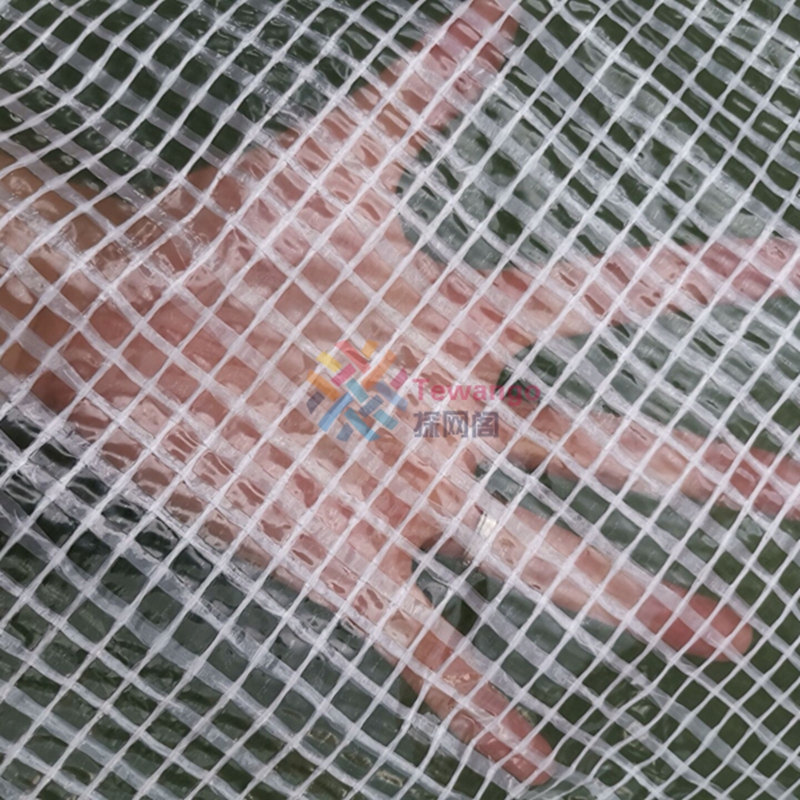 Tewango förtjockar transparent rutnät vattentätt regnskydd utomhus balkong suckulenta växter täcker växthus solskydd presenning