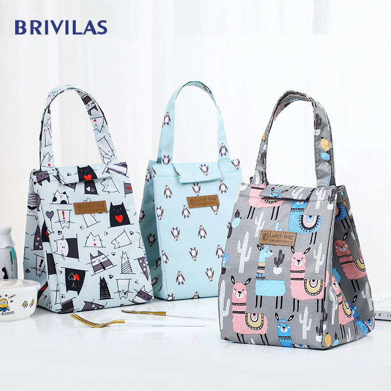 Brivilas kühler mittagessen tasche ctue katze Mehrfarbig taschen frauen wasse Hand Pack thermische frühstück Kasten tragbare picknick reise