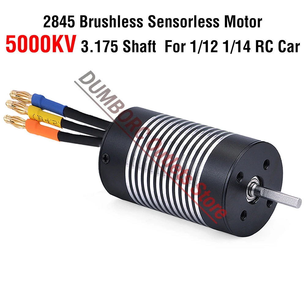 ROCKET-RC F540 2845 3650 3660 3665 3670 3674 4068 Waterproof Brushless Motor for 1/10 1/12 RC Car Model WLtoys 12428 10428 WPL: Blue