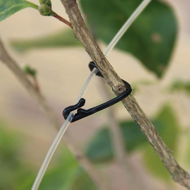Zelfborgende plantenklimbevestiging, gesp, haak, groente-entclips, landbouwkas, tuinbenodigdheden, rotan clip