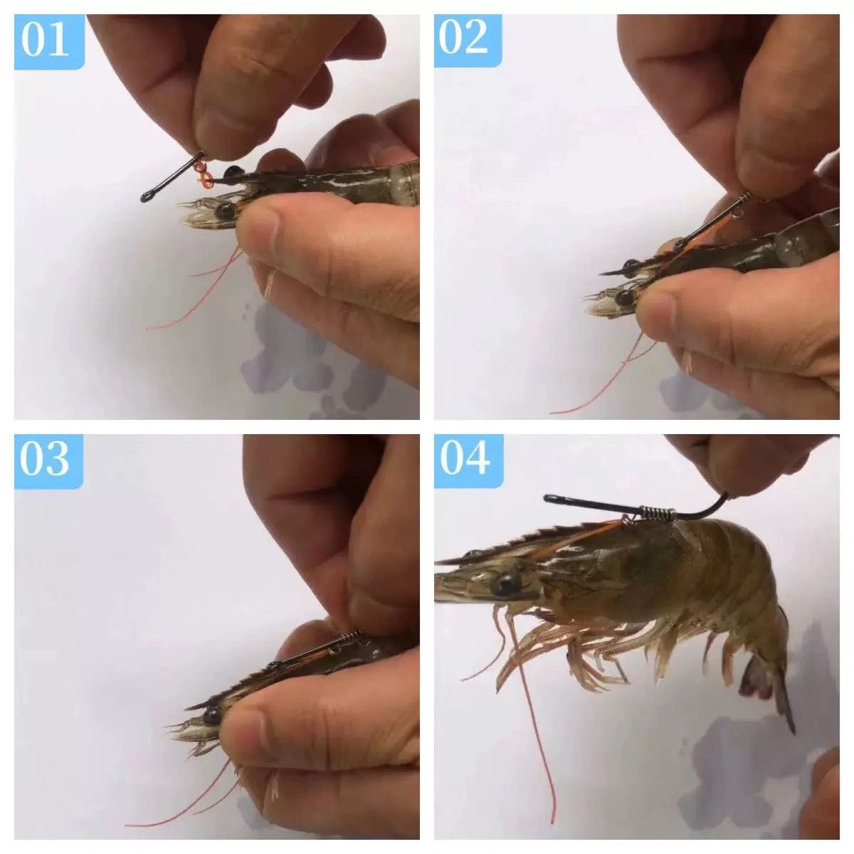 Anzuelos de pesca-anzuelos fijos de camarones vivos de acero al carbono con púas con agujeros, anzuelos de pesca de lubina de 2/3/4, sombrero que se puede adaptar a varios F