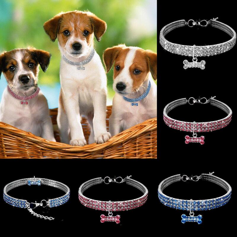 Hond Kraag Ketting Heeft Elasticiteit Lady Mooie Ketting voor Kleine Honden Katten Accessoires