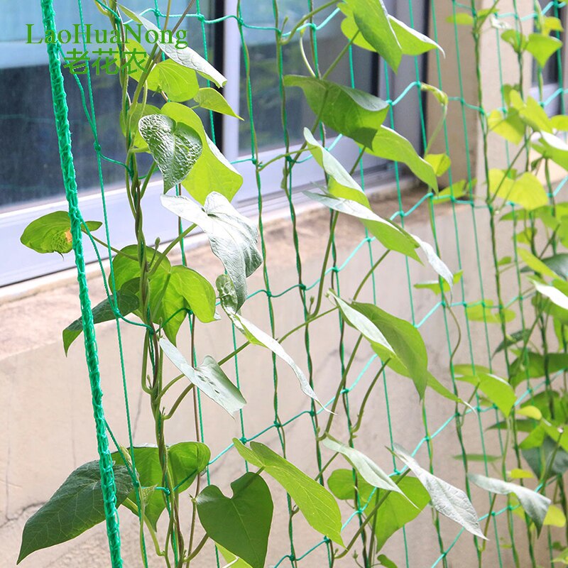 6pcs/lot Plastic Nylon Net Vines Plants Climbing Net Supports Flower Vegetable Landing Net Frame Vine Nylon Garden Netting