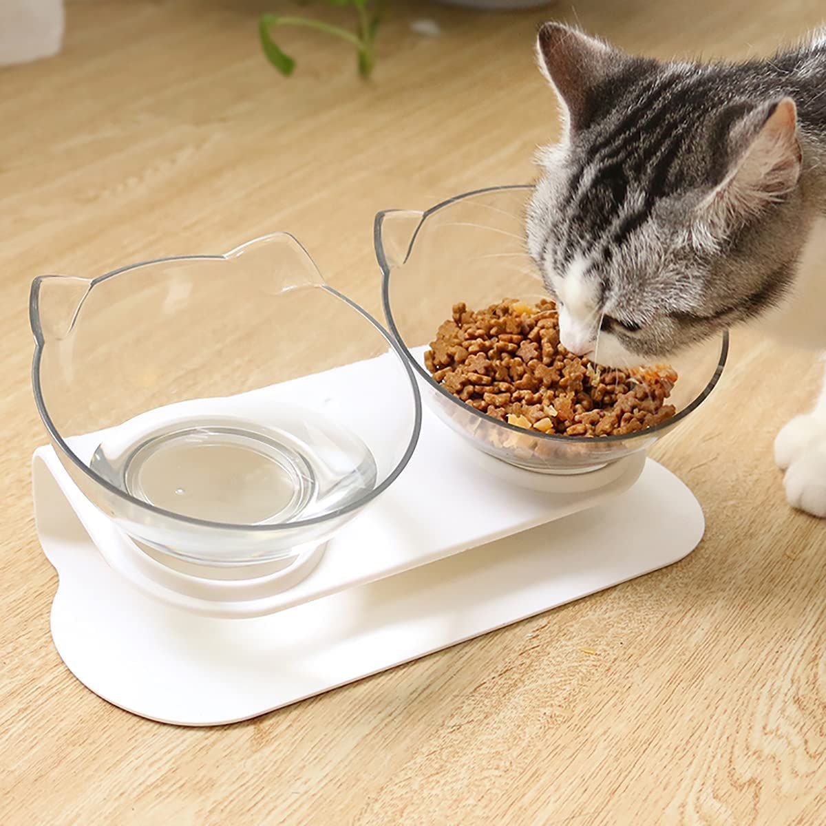 Non slip Double Cat Bowl with Raised Stand Pet Food Cat feeder Protect Cervical Vertebra Dog bowl Transparent Pet Products