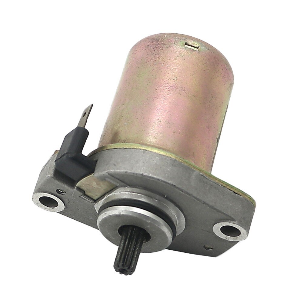 10-Tooth Starter Motor for ETON VIPER 50 RXL-50 AXL-50 TXL-50 NXL-50 50CC ATV QUAD for Polaris Predator 50 04-06 Scrambler 50