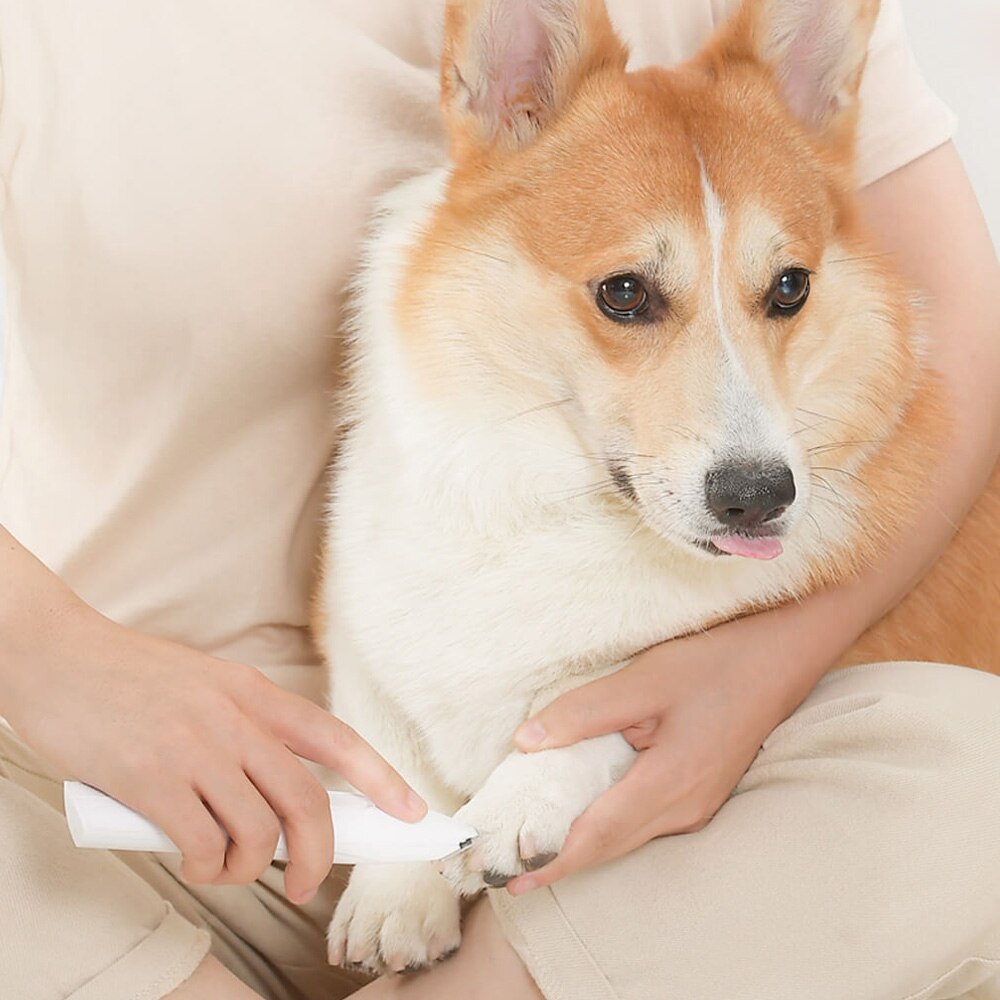 Xiaomi Pawbby Haustiere Haar Trimmer Hund Katze Rasierer Hundesalon Werkzeug Elektrischen Scheren Cutter Hund Haarschnitt Pfote Rasierer Haarschneidemaschine