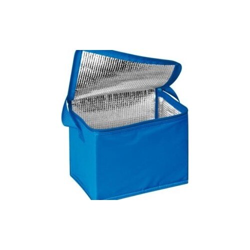 Ankaflex Reizen Picknick Camping Koude Houder Thermische Voedsel Draagtas