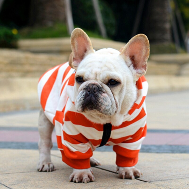 [& mpk butik] husdjur hund fransk bulldog kläder orange rand med dragkedja, hund kläder, sällskapsdjur kostym