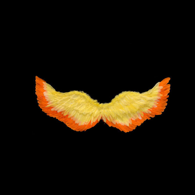 glühen hell hoch Gelb Orange Prinzessin Engel FederflüGel Leuchtende Kostümich Requisiten Party Mädchen Geburtstagsgeschenk Hochzeit Festival: Möglichkeit 2 / Schwarz