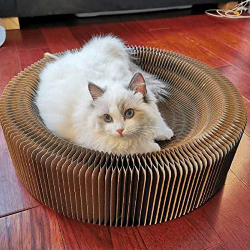 2 w 1 deformacja płyta robić drapania dla kota składane organy faliste żwirek dla kotów łóżko duże narzędzie robić wycierania pazurów składany okrągły kształt