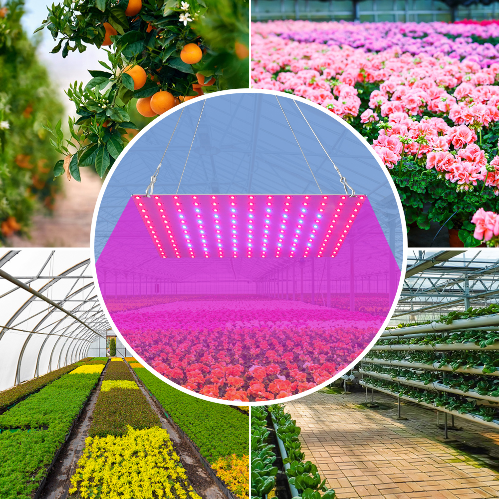 20W 40W Phytolamp Led Full Spectrum Led Licht Groeien Plant Groei Lamp 220V Kas Zaailing Fito Licht led Bloem Zaad Lampada