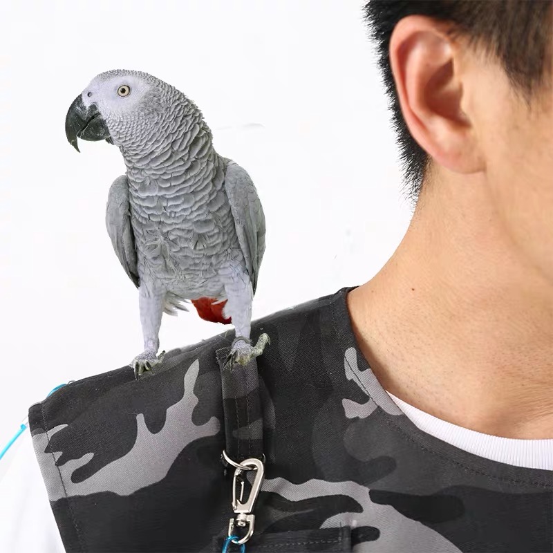 Parrot Anti-Scratch Shoulder Protector Hang Bird Anklet Toys Multi-Functional Pet Shoulder Pad Diaper Shawl for Small Medium