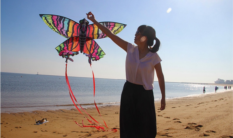 Tabby papillon cerf-volant coloré animal cerf-volant ligne unique longue queue larme sports de plein air jouet volant enfants avec ligne de cerf-volant