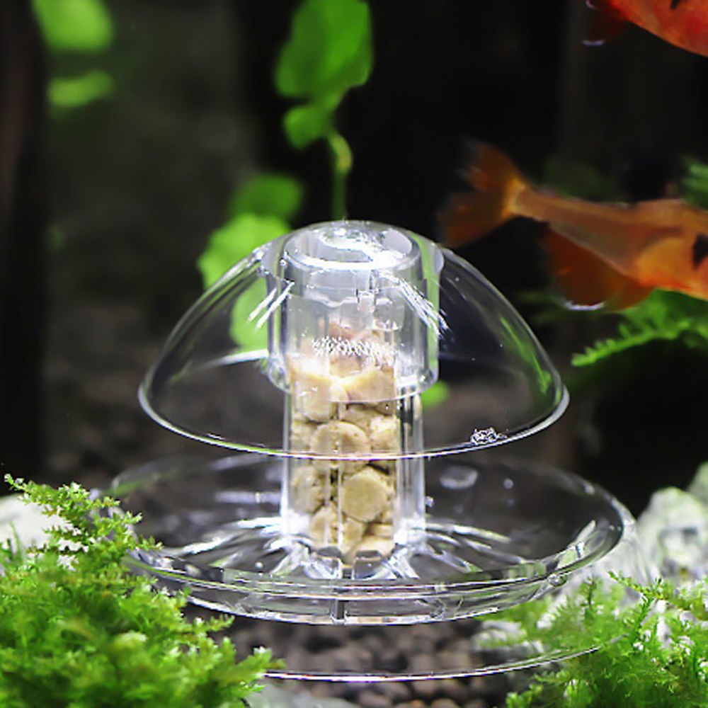 Aquarium Fish Plant Tank Plastic Clear Snail Trap Free Bait for Aquarium Fish Tank Plants Planarian Leech Catch Environment
