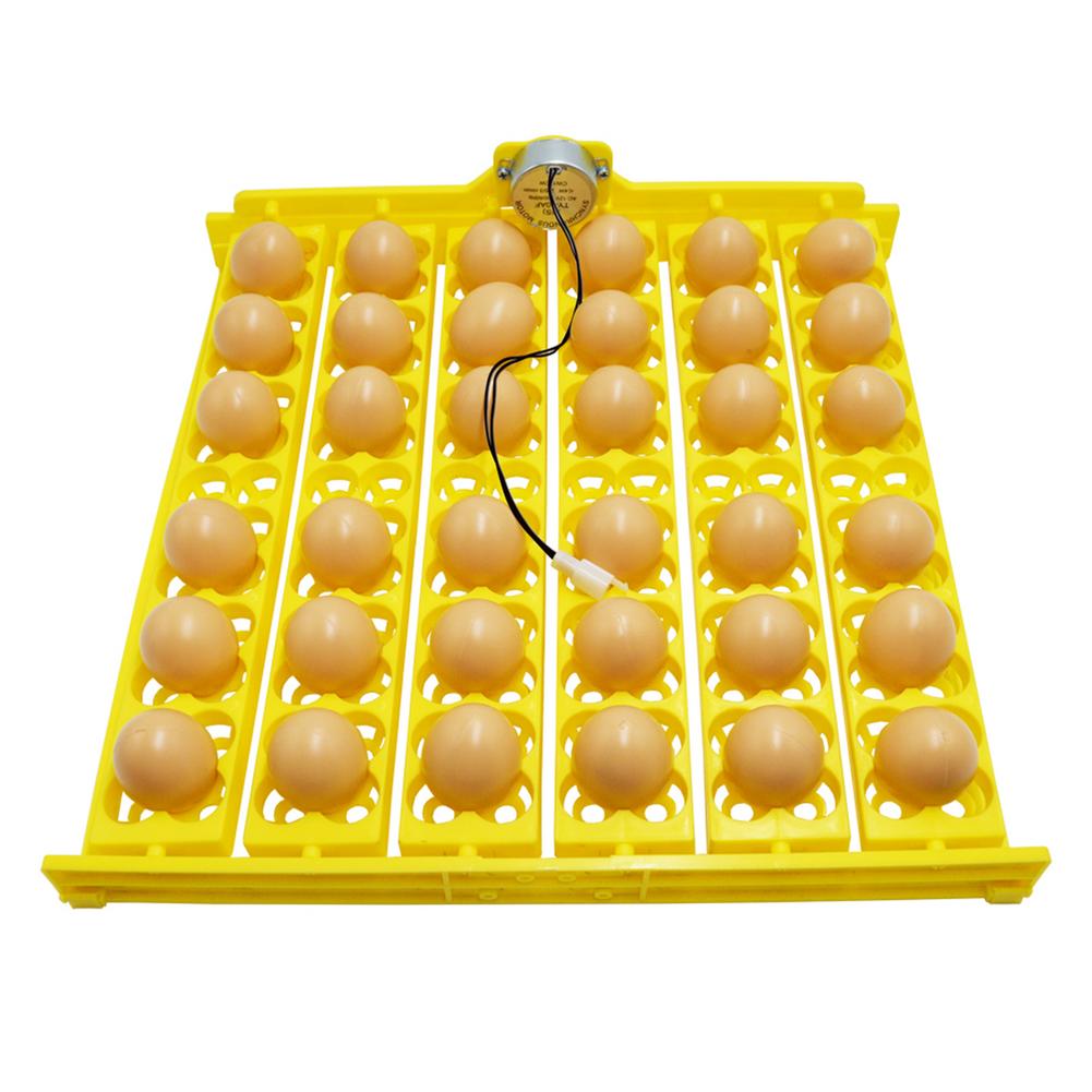 Incubadora de huevos automática para incubar huevos de gallina, girador pequeño de 36 huevos, bandeja para huevos de aves 156 con electricidad: 220V