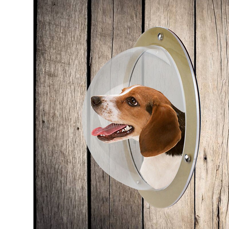 Mascota perro gato puerta rampas espacio ventana para la puerta de seguridad de la pared puerta de la aleta mascota túnel mirilla perro valla ventana para el hogar tratar mascota Autismo