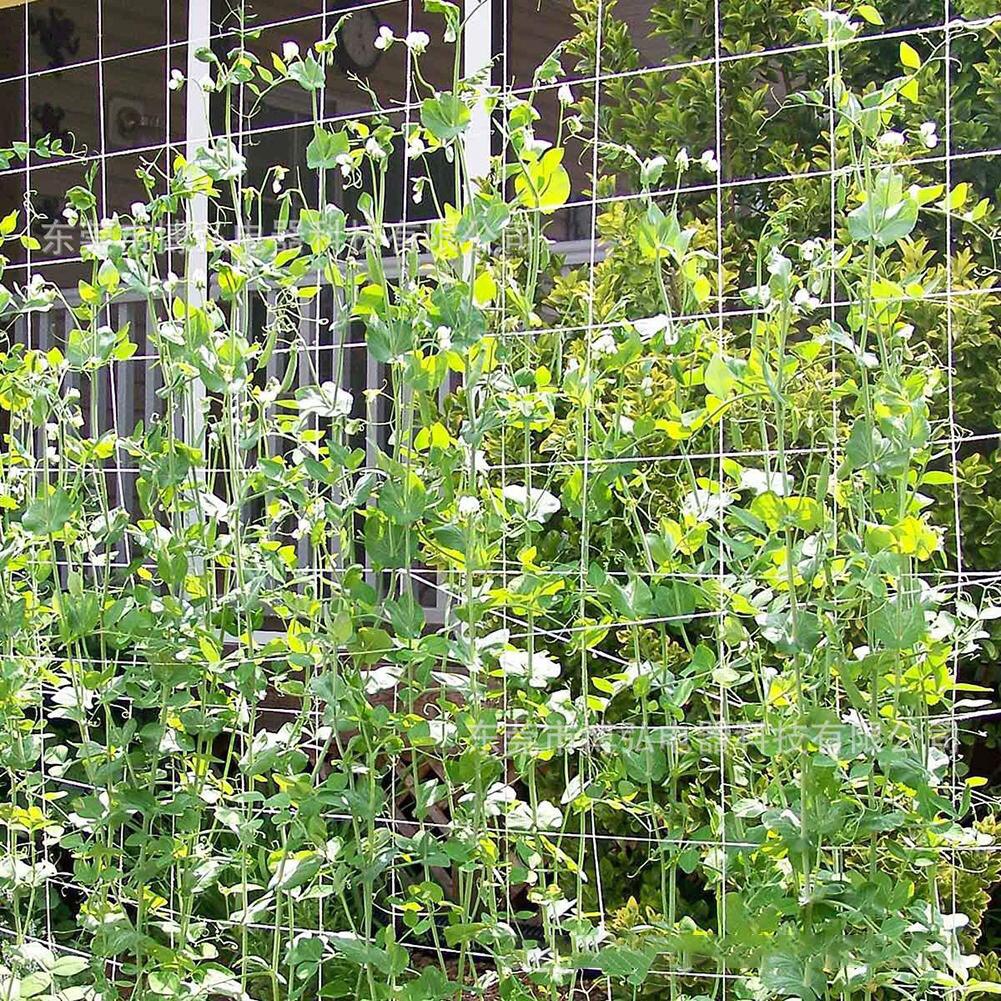 Malla de red para plantas trepadoras, marco de red de aterrizaje para plantas de pepino, flor, enredadera, enredadera, Red de jardín, 5m, 10m
