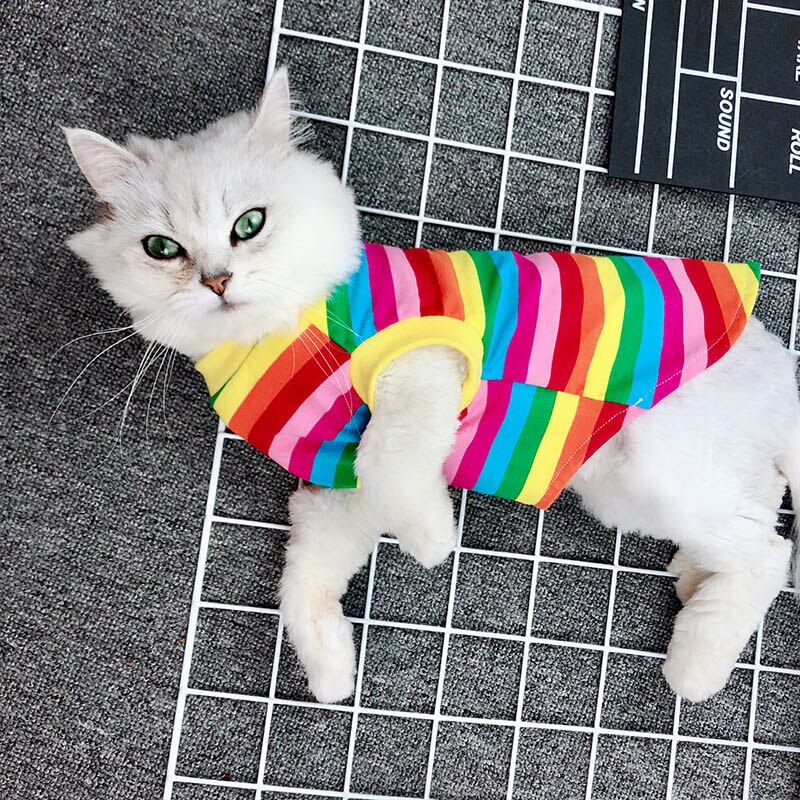 Rainbow Cat Clothes Summer Clothes for Cat Costume Pets Clothing Spring Pet Clothes Dressing Up Cat Party Costume Suit Kitty