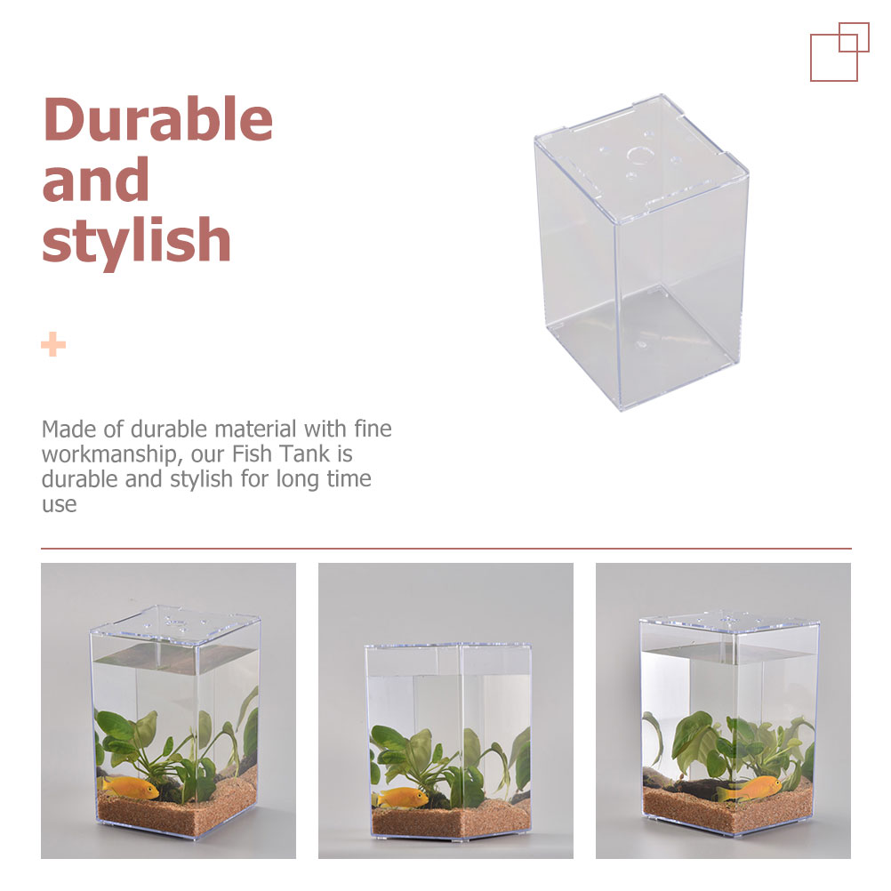 Pecera pequeña, Mini pecera, acuario pequeño, acrílico, caja de peces