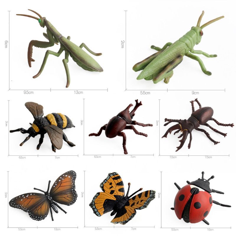 12 Stks/partij Insect Modellen Beeldjes Kid Cognitieve Dier Speelgoed Vroege Onderwijs Speelgoed Dxad