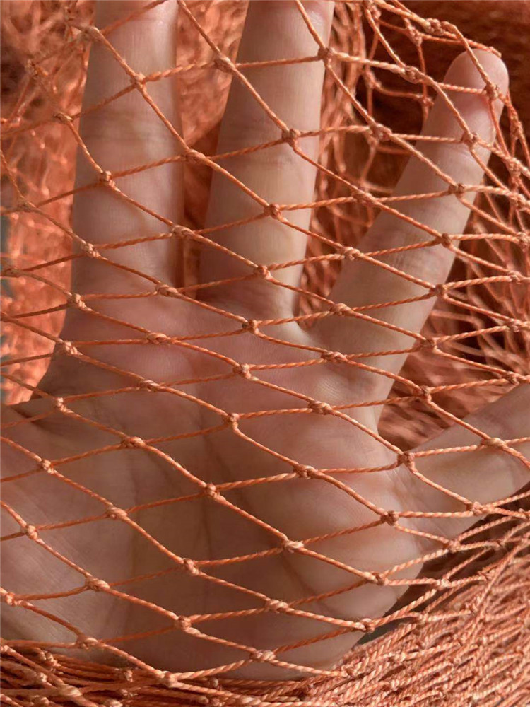 2Cm Raster Bandennet-Tuin Anti-Vogelgaas Gewassen Beschermend Nylon Net Gaas, Kat Kippennet Visnet Vistuig