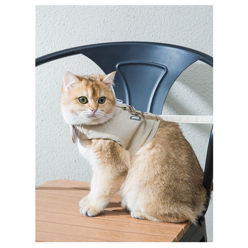Zomer Kat Harness En Leash Set Ademend Mesh Hondenlijn Pet Vest Kleding Harnas Voor Kleine Honden Kat Leiband hond Harnas