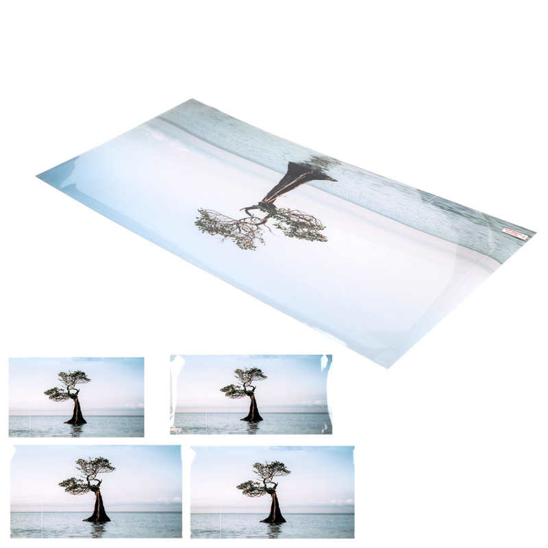 Aquarium Background Poster Vibrant Self Adhesive Fish Tank Wallpaper for Tank